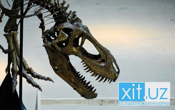 Останки динозавров в Испании изменили взгляды ученых на древнюю экосистему
